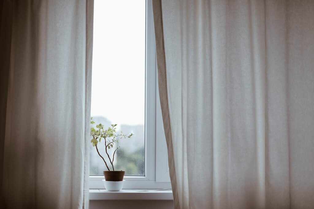 カーテンと窓と観葉植物